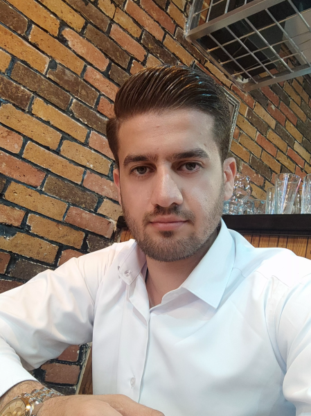 امیررضا ویسی